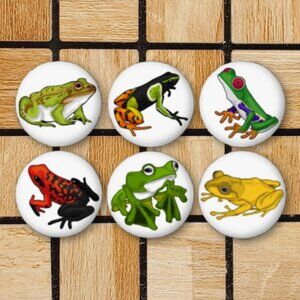 Frog Fridge Magnets Set Of 6 Metal Magnets For Home Office Kitchen School